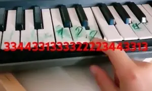 Jak zagrać na organach - proste techniki dla początkujących muzyków