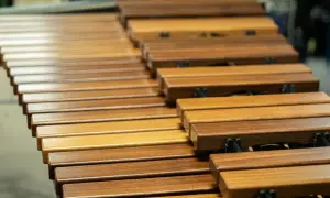 Drewniane klawisze marimby, piękne instrumenty perkusyjne melodyczne, czekają na uderzenia pałeczek, by wydać czyste dźwięki.