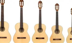 Rząd gitar klasycznych i akustycznych. Zobacz, czym się różni gitara klasyczna od akustycznej, porównując ich rozmiary i detale.