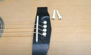 Jak zmienić struny w gitarze klasycznej? Widok na mostek gitary z naciągniętymi strunami i dwoma wyjętymi kołeczkami.