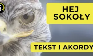 Zbliżenie na oko sokoła. Obok żółte prostokąty z napisem "HEJ SOKOŁY" i "TEKST I AKORDY".