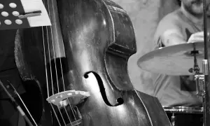 Zbliżenie na kontrabas, obok którego widać fragment perkusisty. Kontrabas i wiolonczela to instrumenty smyczkowe, ale ten jest znacznie większy.