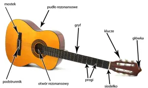 Akustyczna gitara z widocznymi elementami: pudło rezonansowe, gryf, progi, siodełko, podstrunnik, mostek, otwór rezonansowy, klucze i główkę.