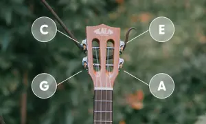 G-C-E-A - tak nastroić ukulele sopranowe. Poznaj dźwięki strun swojego instrumentu.