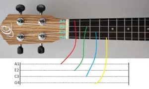 Jak zagrać na ukulele Sto lat - proste akordy i tekst piosenki