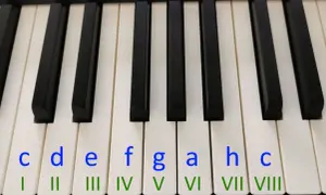 Klawiatura pianina do druku z literami nut (c, d, e, f, g, a, h, c) i rzymskimi cyframi (I-VIII).