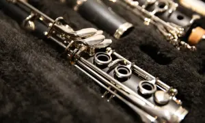 Zbliżenie na budowę klarnetu w futerale. Widoczne są klapy, otwory i metalowe elementy instrumentu.