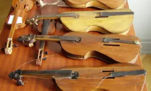Rząd starych instrumentów smyczkowych. Czy to pudło skrzypiec jak się nazywa?