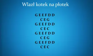 Jak zagrać na cymbałkach Wlazł kotek na płotek w prosty sposób