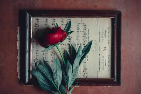 Czerwona róża na starych nutach, przypominająca melancholijną ballada.