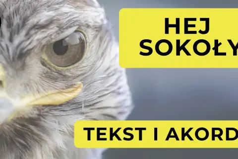 Zbliżenie na oko sokoła. Obok żółte prostokąty z napisem "HEJ SOKOŁY" i "TEKST I AKORDY".
