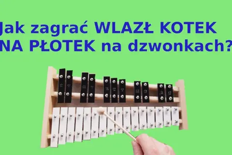 Jak zagrać wlazł kotek na płotek na cymbałkach - proste kroki dla każdego