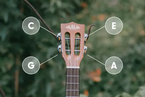 G-C-E-A - tak nastroić ukulele sopranowe. Poznaj dźwięki strun swojego instrumentu.