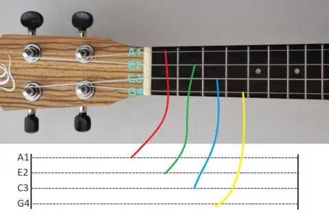 Jak zagrać na ukulele Sto lat - proste akordy i tekst piosenki