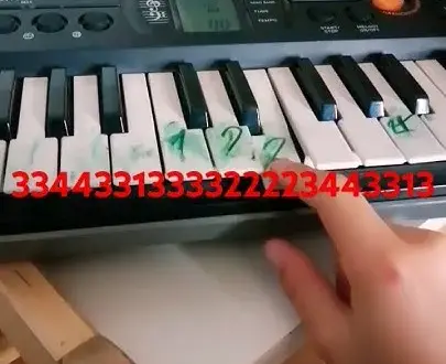 Jak zagrać na organach - proste techniki dla początkujących muzyków
