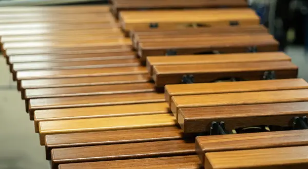 Drewniane klawisze marimby, piękne instrumenty perkusyjne melodyczne, czekają na uderzenia pałeczek, by wydać czyste dźwięki.