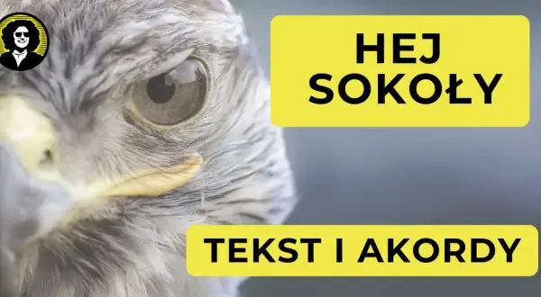 Zbliżenie na oko sokoła. Obok żółte prostokąty z napisem "HEJ SOKOŁY" i "TEKST I AKORDY".