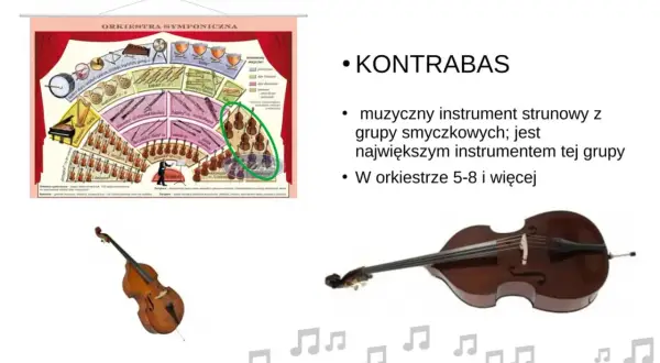 Schemat orkiestry symfonicznej z zaznaczonymi kontrabasami. Obok zdjęcie kontrabasu, największego instrumentu smyczkowego.