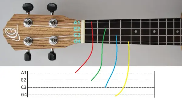 Jak zagrać na ukulele Sto lat - proste akordy i tekst piosenki