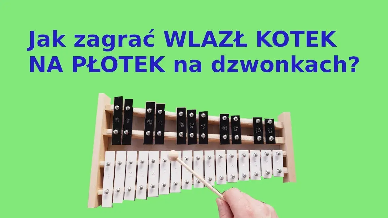 Jak zagrać wlazł kotek na płotek na cymbałkach - proste kroki dla każdego