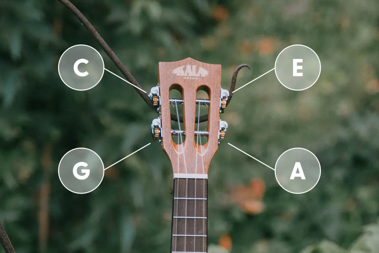 G-C-E-A - tak nastroić ukulele sopranowe. Poznaj dźwięki strun swojego instrumentu.
