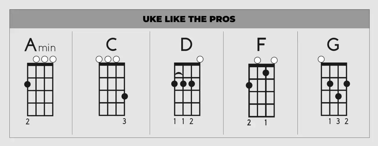 Chwyty na ukulele: Amin, C, D, F, G. Podstawowe akordy do nauki piosenki.