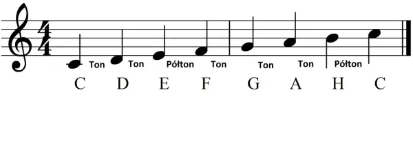 Linia melodyczna z nutami C, D, E, F, G, A, H, C, oznaczonymi jako "Ton" lub "Półton".
