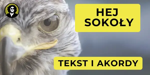 Zbliżenie na oko sokoła. Obok żółte prostokąty z napisem "HEJ SOKOŁY" i "TEKST I AKORDY".