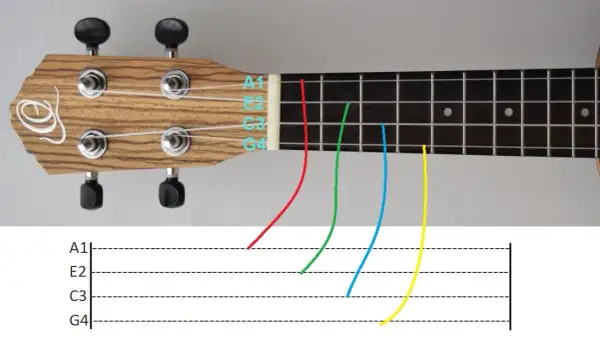Jak zagrać na ukulele Sto lat - proste akordy i tekst piosenki