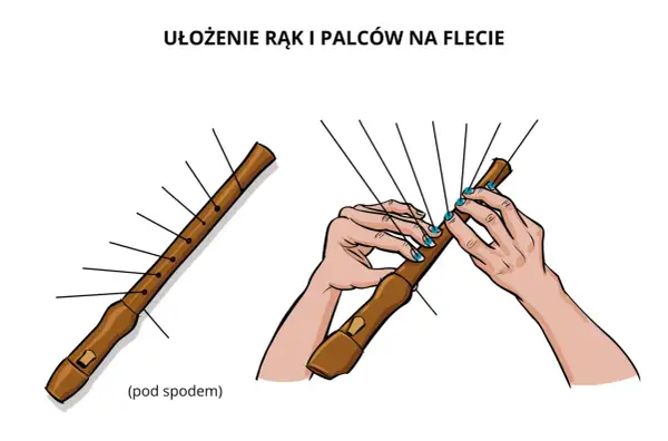 Ilustracja pokazuje ułożenie rąk i palców na flecie, wyjaśniając, jak się gra b na flecie.